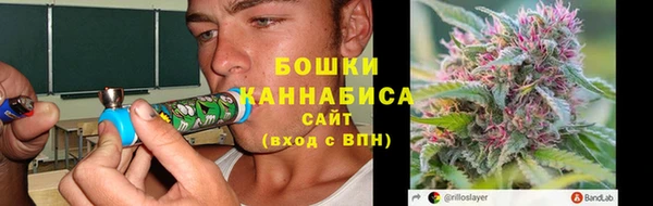 индика Балабаново