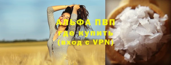 индика Балабаново