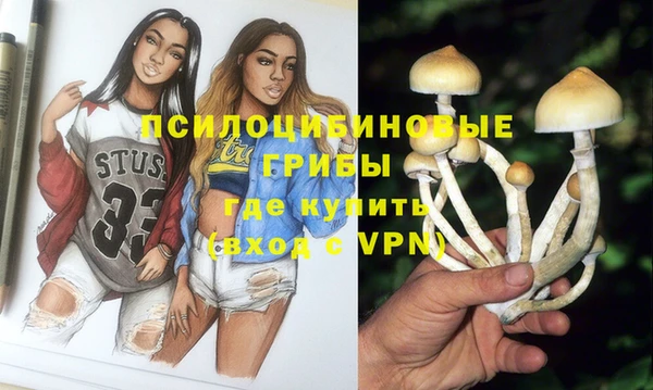 индика Балабаново