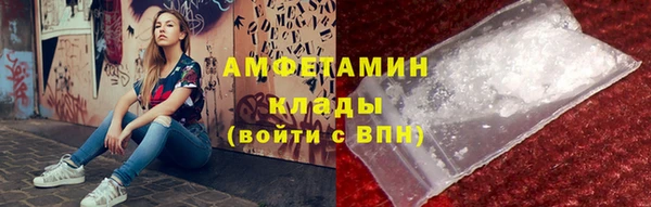индика Балабаново